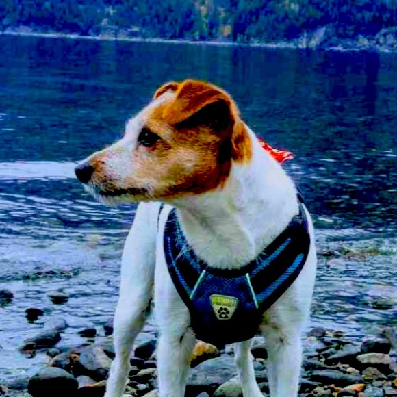 Meet Me - Picture 1 of 1